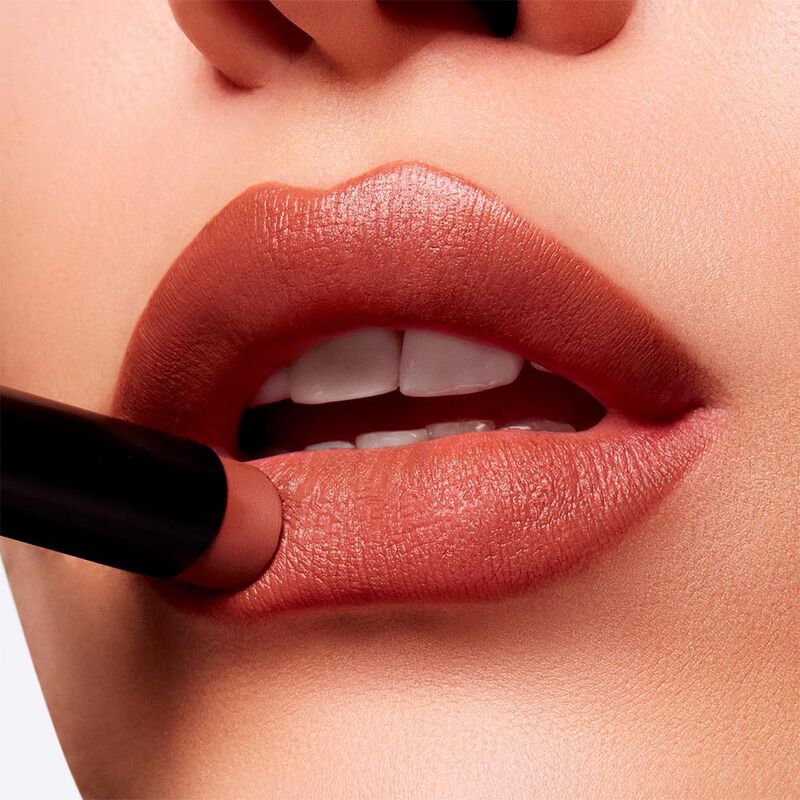 Powder Kiss Velvet Blur Slim Stick image number null