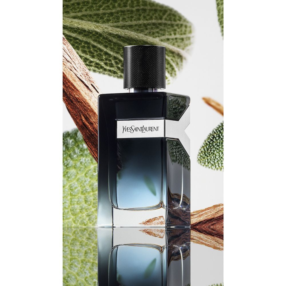 Saint laurent y edp store