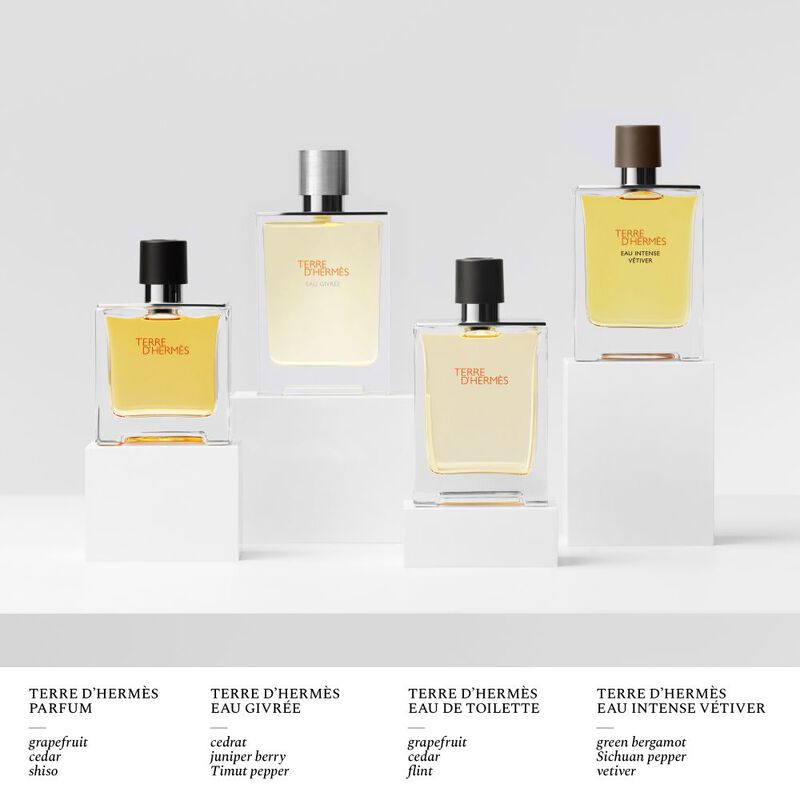 Terre d'Hermès Eau Givrée image number null