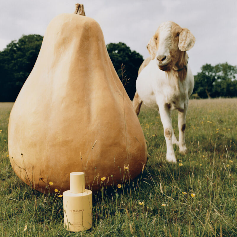 Velvety Butternut Cologne  image number null