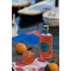 Arancia Italian Gin image number null