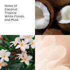 Green Tea Coconut Breeze image number null