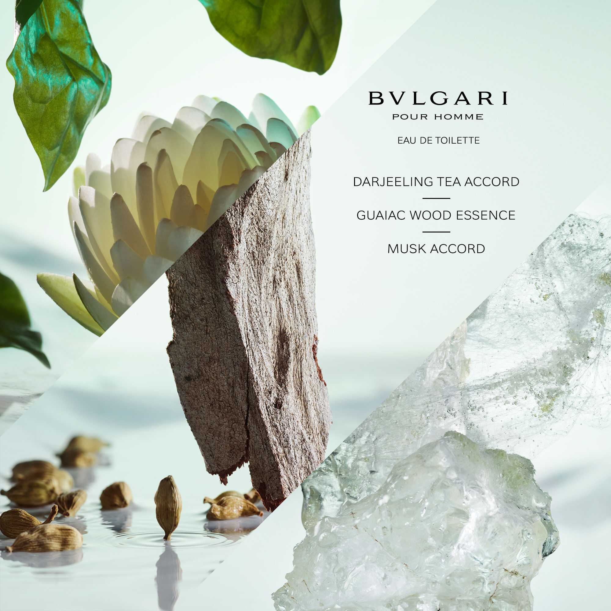 【大容量100ml】 BVLGARI BLV POUR HOMME BLV Bvlgari for men by Bvlgari (100ml) - Gifterzz