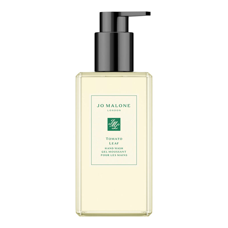 Green Tomato Leaf Hand Wash image number null