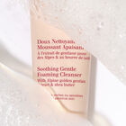 Soothing Gentle Foaming Cleanser image number null