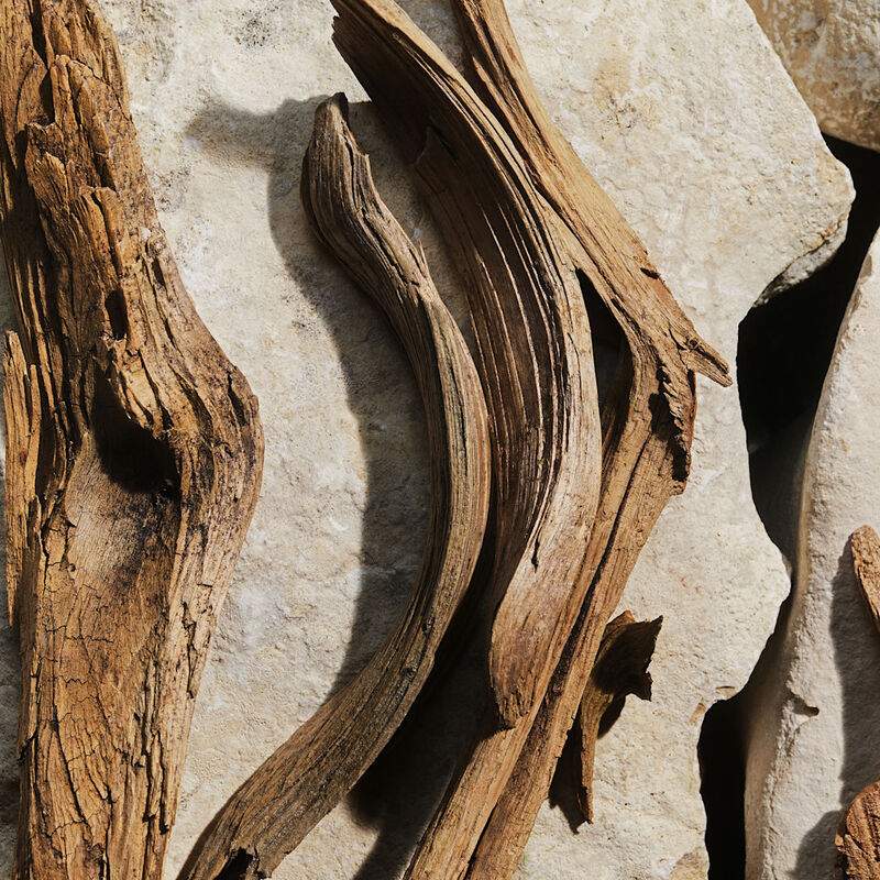 New Light Blue  image number null