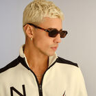 Pilferer image number null