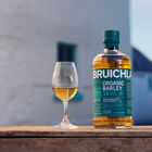 Organic 16YO Travel Exclusive image number null
