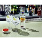 London Dry Gin image number null
