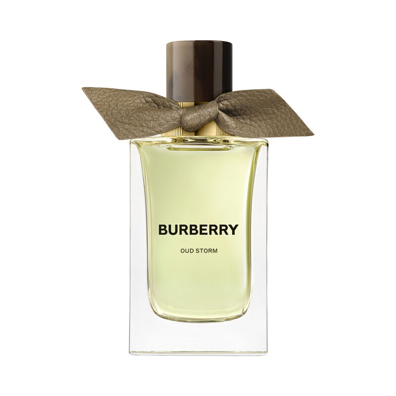 Signatures Extreme Botanicals Oud Storm image number null