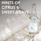 Blanco Tequila  image number null
