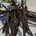 Devotion image number null