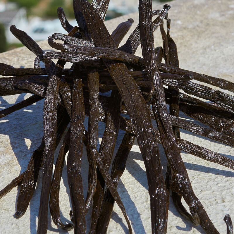 Devotion image number null