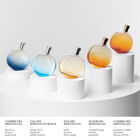 L'Ambre des Merveilles image number null