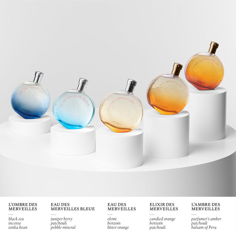 L'Ambre des Merveilles image number null