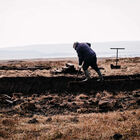 Four Oak image number null