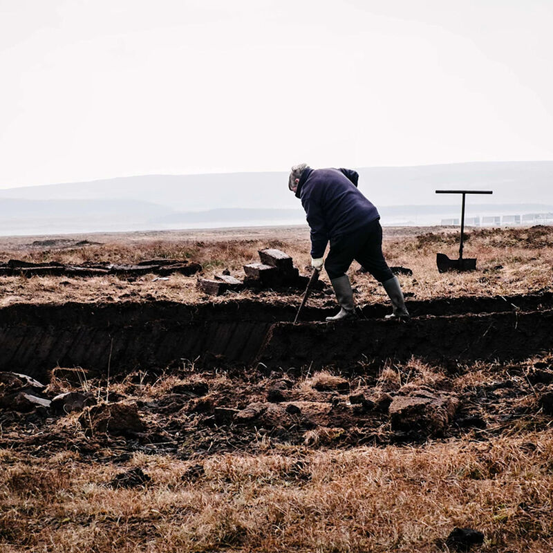 Four Oak image number null