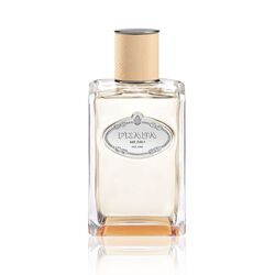 Infusion de Fleur D'Oranger