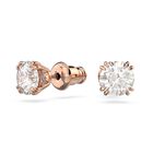 Constella Lady Earrings image number null