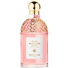 Aqua Allegoria Rosa Rossa Harvest image number null