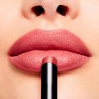 Powder Kiss Velvet Blur Slim Stick image number null