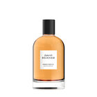 Amber Breeze image number null