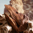 K Parfum image number null