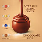 Lindor Mini Tube Assorted image number null