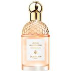 Aqua Allegoria Orange Soleia image number null