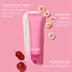 Vinohydra Sorbet Cream Moisturizer image number null