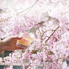 Japanese Harmony Master's Select image number null