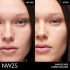Powder Plus Foundation  image number null