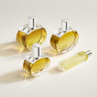 Barénia Intense image number null