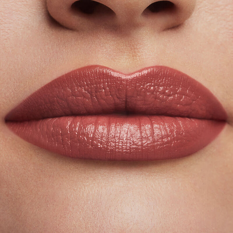 Pure Color Creme Lipstick image number null