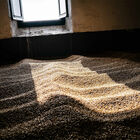 Four Oak image number null