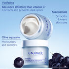 Vinoperfect Day Moisturizer image number null