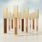 Beyond Wear Perfecting Concealer image number null