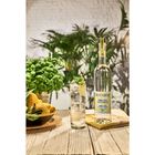 Lemon & Basil Organic Infusions image number null