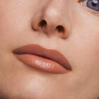 Pure Color Creme Lipstick image number null