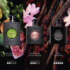 Black Opium  image number null