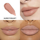 Matte Liquid Lipstick image number null