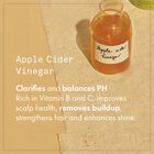 Apple Cider Detox Shampoo image number null