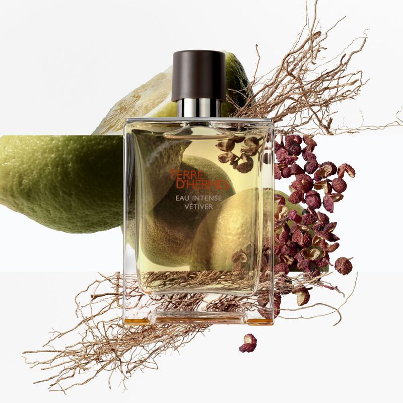 Terre d'Hermès Eau Intense Vétiver Set image number null