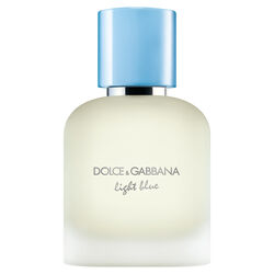 New Light Blue Pour Home 