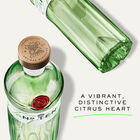 No.Ten Gin image number null