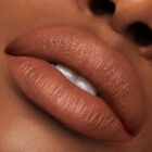 Pure Color Creme Lipstick image number null