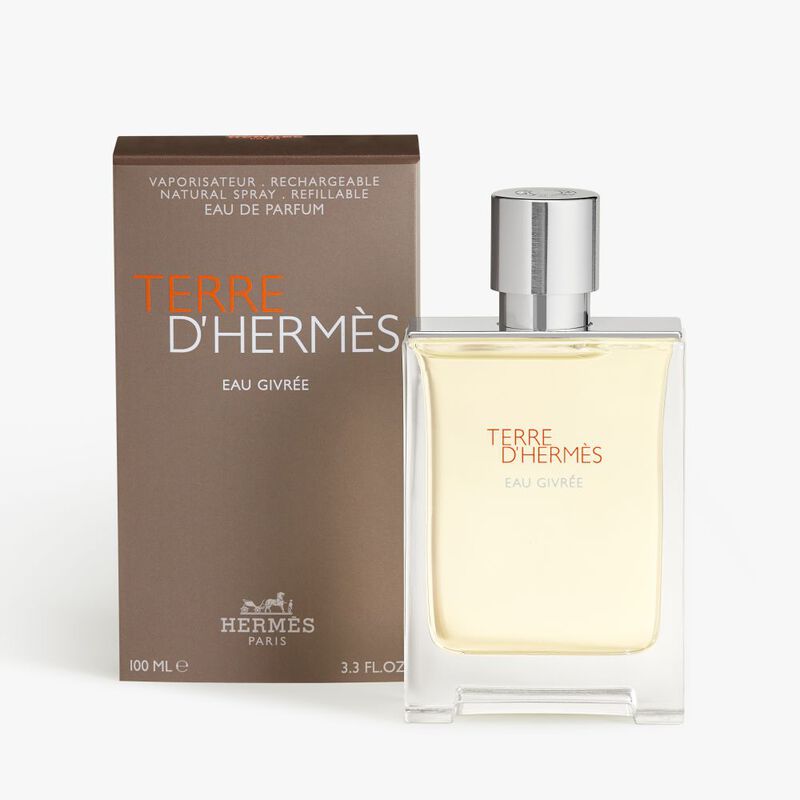 Terre d'Hermès Eau Givrée image number null