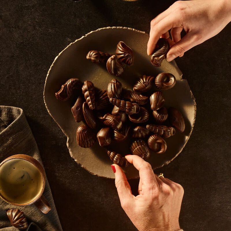 Dark Praline Seashell image number null