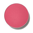Powder Kiss Matte Pro Palette Shadow image number null