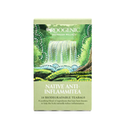 Native Anti-Inflamitea image number null